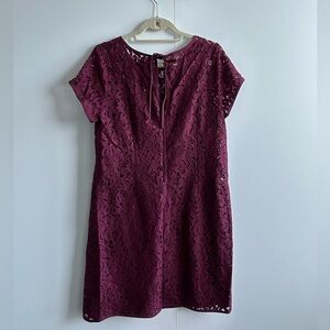 Burgundy lace cocktail dress